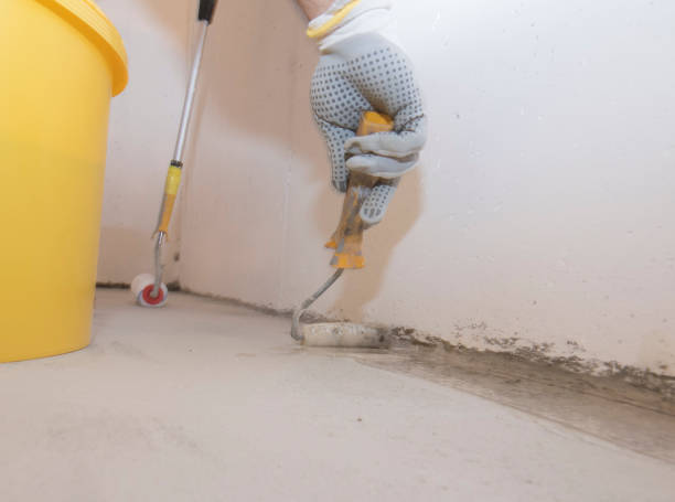 Best Termite Inspection and Treatment  in Comstock Northwest, MI